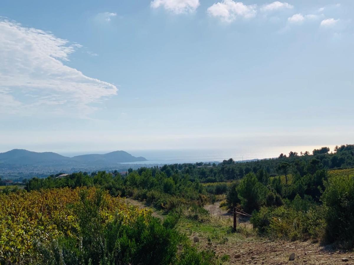 Simple Home La Cadiere-d'Azur Dış mekan fotoğraf