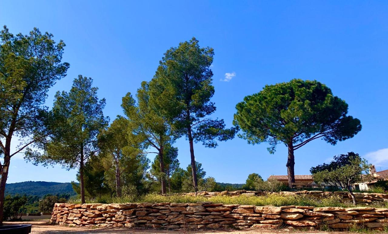 Simple Home La Cadiere-d'Azur Dış mekan fotoğraf