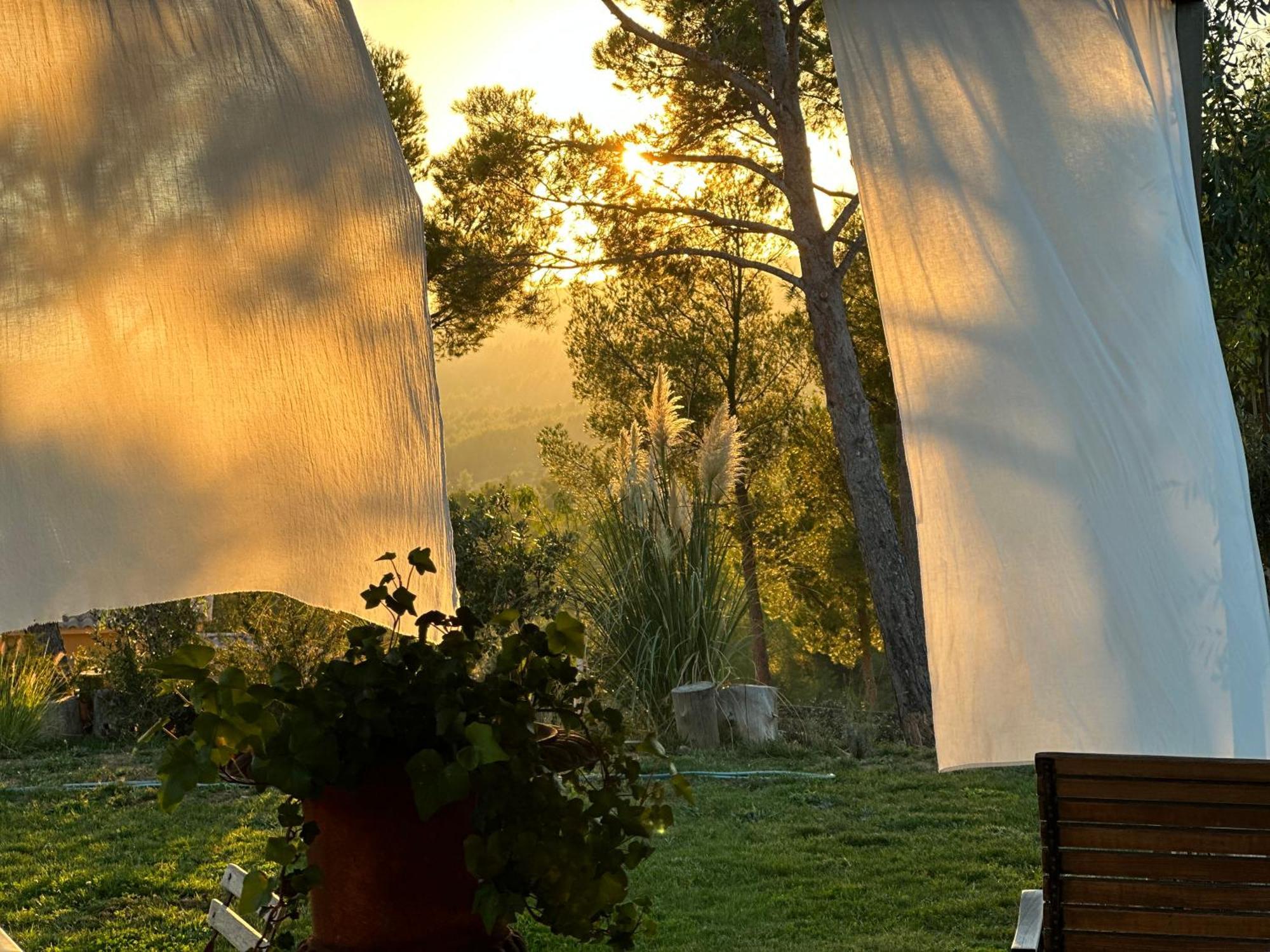 Simple Home La Cadiere-d'Azur Dış mekan fotoğraf