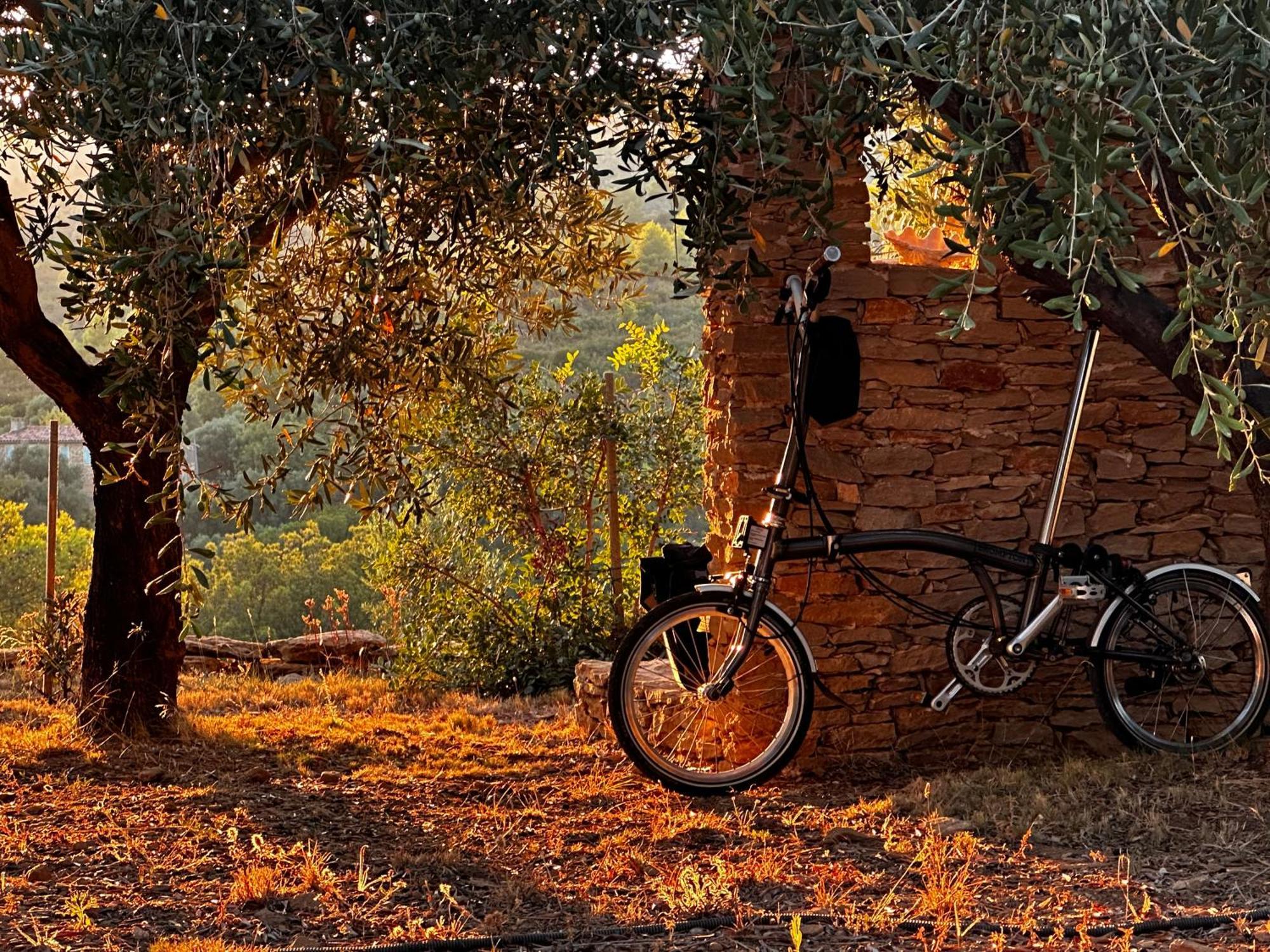 Simple Home La Cadiere-d'Azur Dış mekan fotoğraf