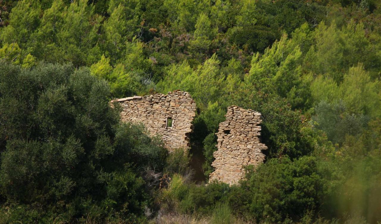 Simple Home La Cadiere-d'Azur Dış mekan fotoğraf